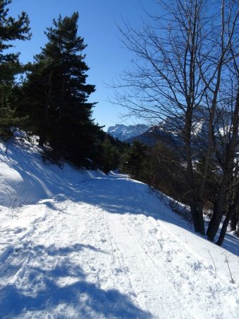 retour dans la forêt pour une boucle