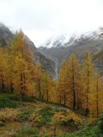 Le vallon qui mène au refuge du Sélé.