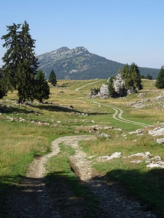 Depuis le chalet du Loup