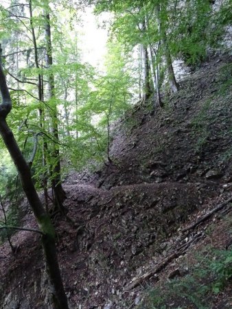 Sentier vers le Cernon