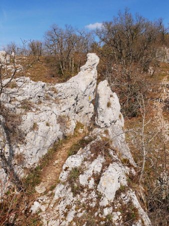 Vue arrière sur le sentier qui accède au belvédère près de la lame rocheuse.