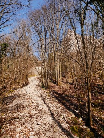 Début de montée sur l’adret de la combe d’Orveaux.