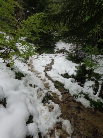 Descente dans la boue