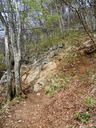 Jonction avec le sentier d’Orjobet, à la sortie de la grotte.