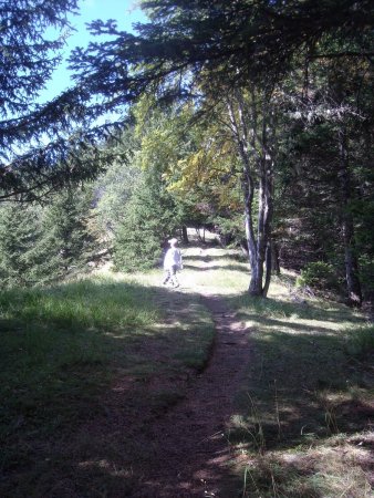 Le sentier sur la crête, séparant bien l’adret et l’ubac