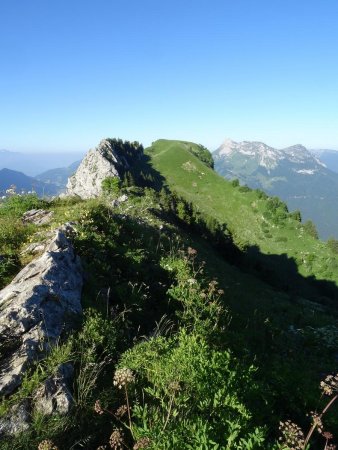 Sur la crête