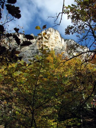 La falaise au travers de trouées.