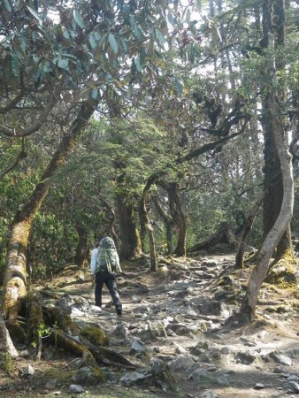 Lama Hotel à Langtang