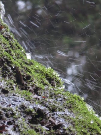 Cascade Voile de la Mariée