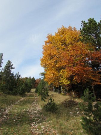 Montée à la crête