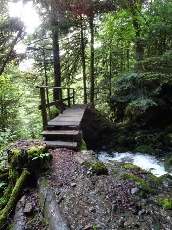 Passerelle sur le nant Borian