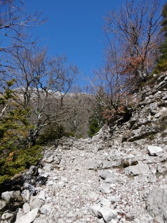 Sentier du col de la Croix.