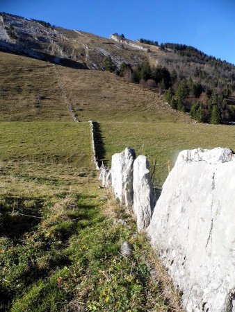 Les pierres levées