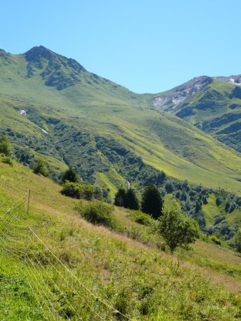 Montée dans les alpages, face au col de Valbuche.