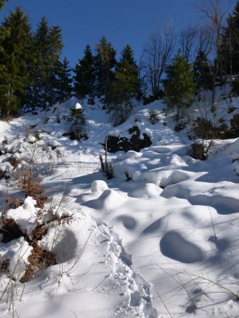 Dans le rétro.