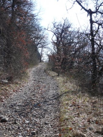 Le chemin revient au-dessus de Vesonne...