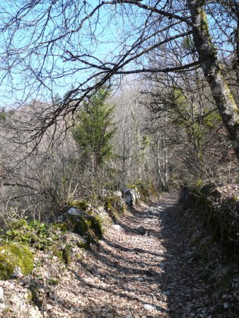 On commence la montée sur un vieux chemin creux bordé de murets.