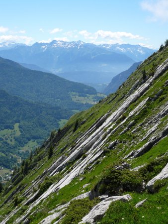 Herbe et plaques calcaires.