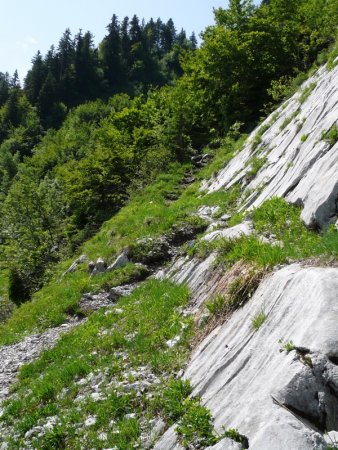 Ces dalles calcaires sont en fait le bas de la face est de l’aiguille de Serraval.