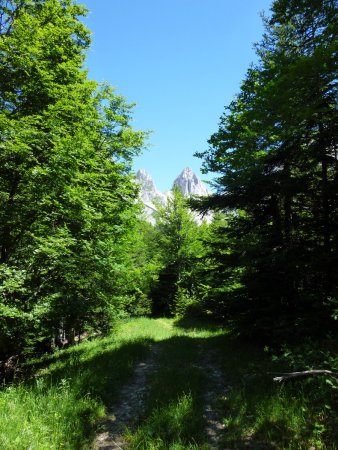 Sentier et vue sur le col des Aiguilles.