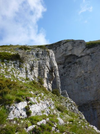 L’éléphant à la descente du Veyou par le bord des falaises.