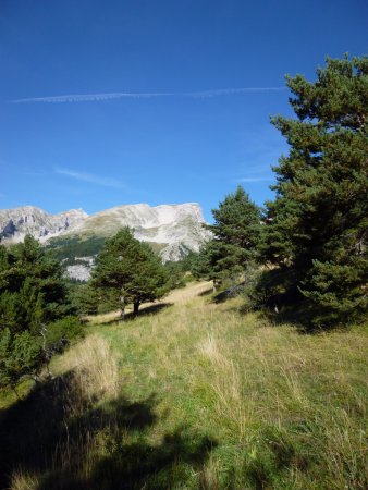 En plein champ pour rejoindre la crête.