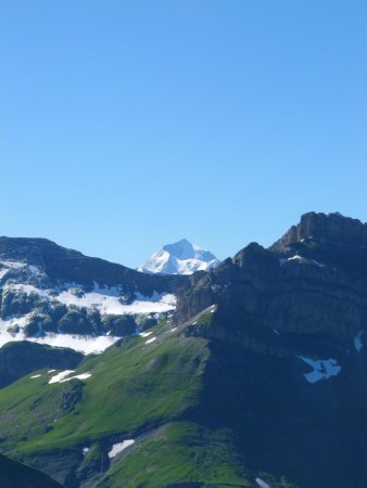 Mont Pourri derrière Roches Merles