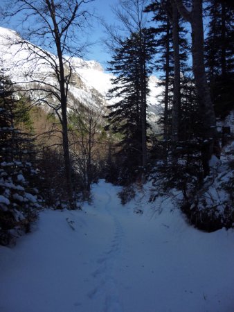 Dans le rétro à la montée.