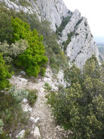 Après la traversée de la vire, on remontera la partie boisée du haut