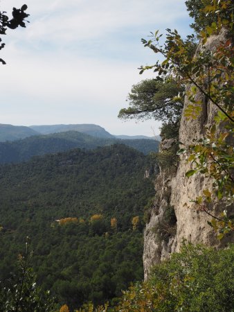 La vue depuis le bas de la cheminée.