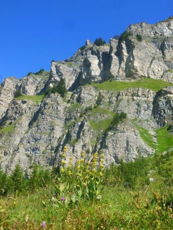 Les falaises