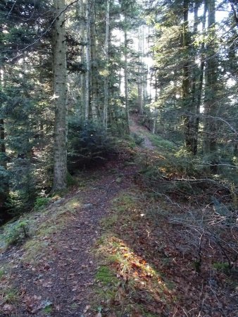 Sentier des crêtes