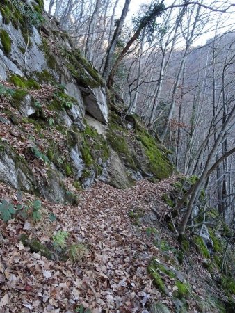 Sentier du Gros Fayard