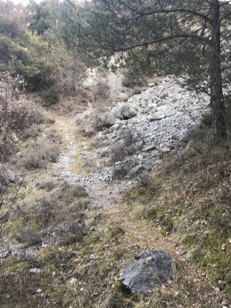 Sentier vers la bergerie