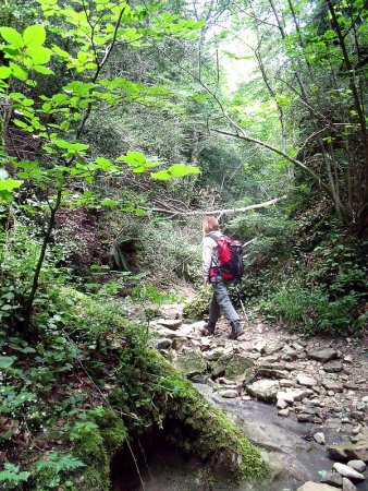 Dans le Canyon des Gueulards