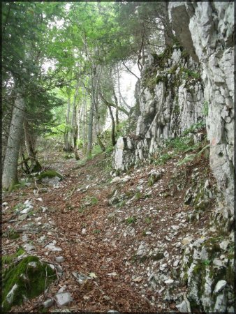 Sous les Rochers de Pierre Taillée. Regard arrière.