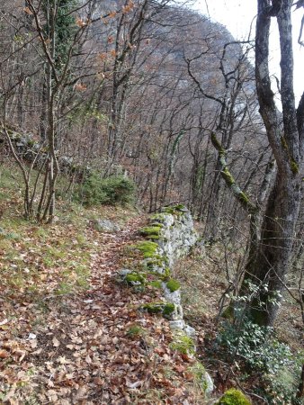 Sentier de retour