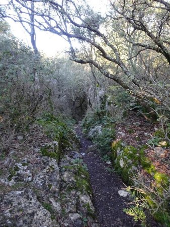 Sentier d’accès à la Baume de Ronze