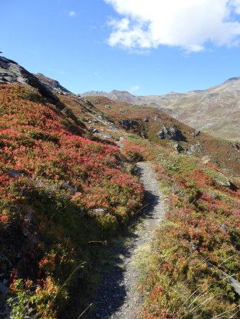 Sentier vers le Lac du Lou