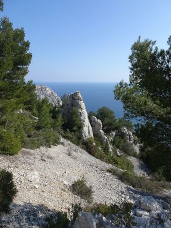 Au-dessus de la Calanque de Cortiou