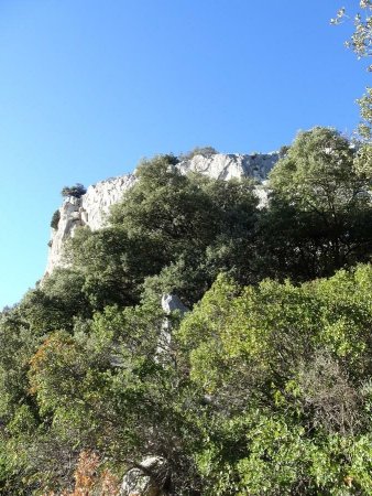 En montant à Carabelle