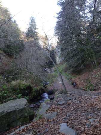 Sentier de la Cascade du Saut du Loup