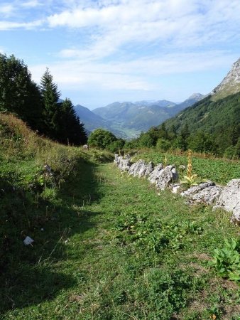 Col de Chérel : chemin de retour