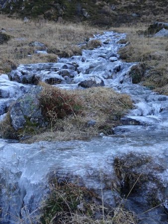 Torrent des Nants