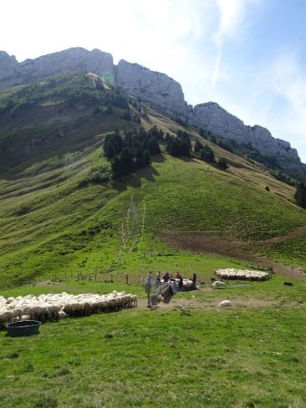 Col de la Buffaz