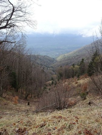 Vallon du ruisseau de la Crousaz