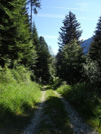 Au Col du Plane