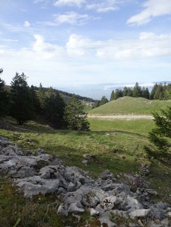 En montant au Crêt de Châtillon