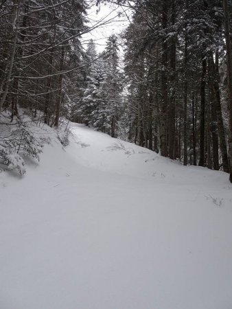 Montée vers le Crêt du Char