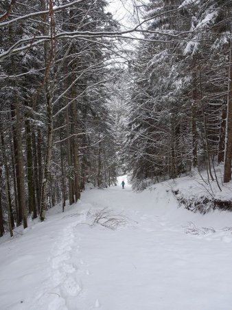 Montée vers le Crêt du Char : regard arrière